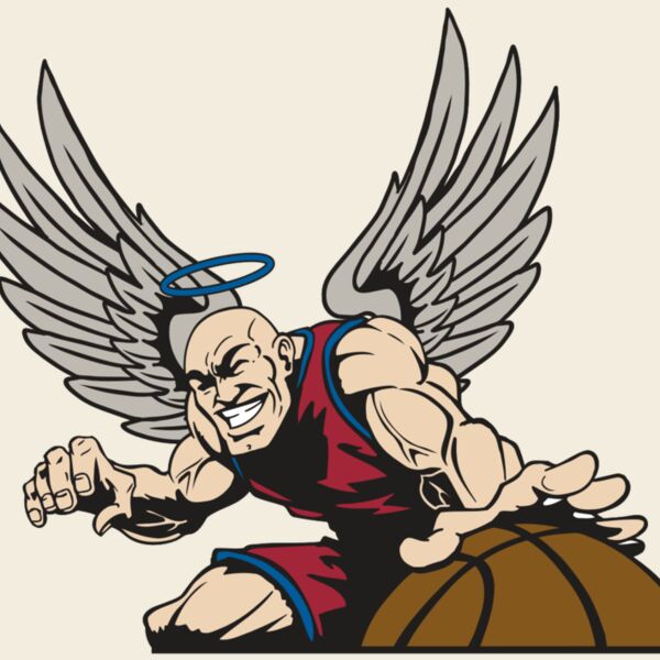 AR17 ANGEL BSKT 04 RQC Thumbnail