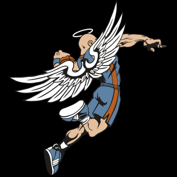 AR17 ANGEL BSKT 02 RQC Thumbnail