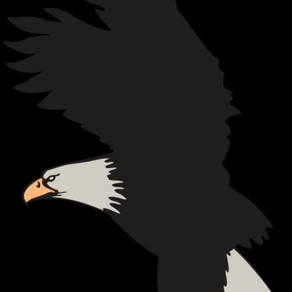 AR EAGLE 91 RC Thumbnail