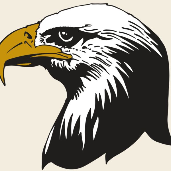 AR EAGLE 87 RC Thumbnail
