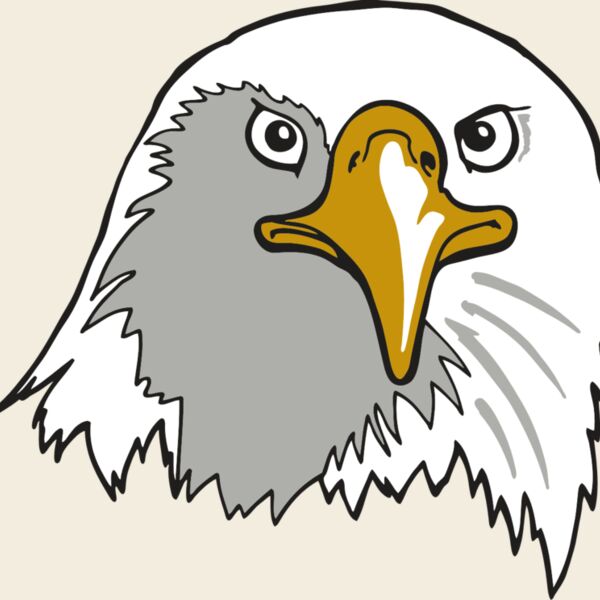 AR EAGLE 39 RC Thumbnail