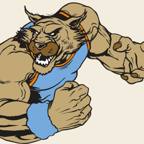 AR WILDCAT 46 RC Thumbnail
