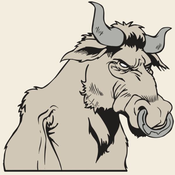 AR5 BULL 08 RQC Thumbnail