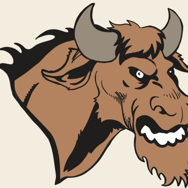 AR5 BULL 09 RQC Thumbnail