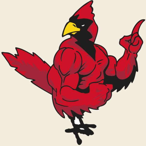 AR CARDINAL 27 RC Thumbnail