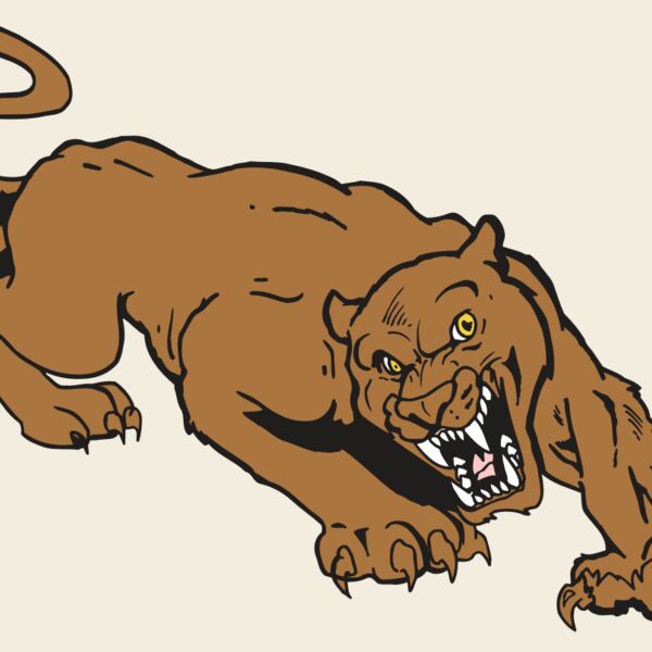AR5 COUGAR 41 RQC Thumbnail