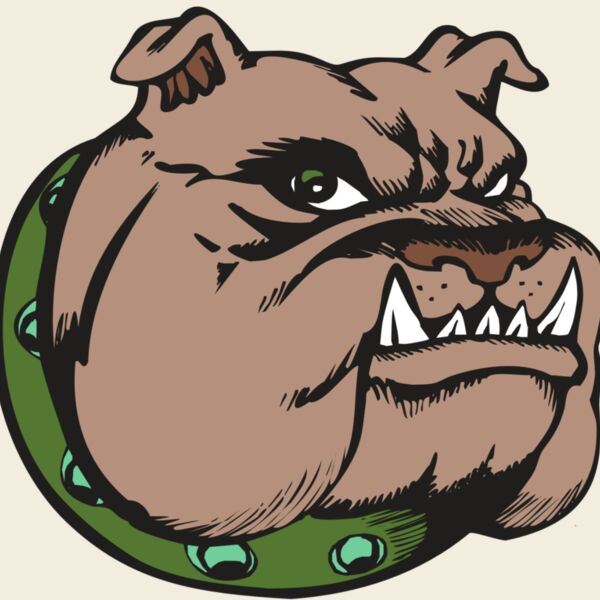 BAW BULLDOG 14 RC Thumbnail