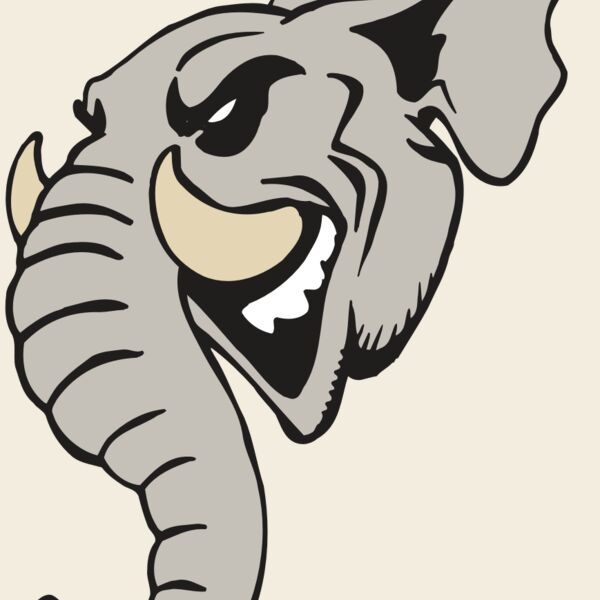 AR5 Elephant 11 RQC Thumbnail