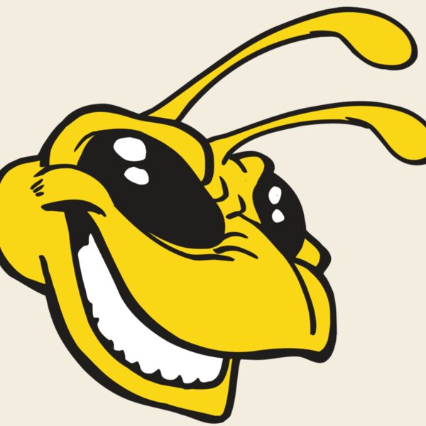 AR5 BEE 24 RQC Thumbnail