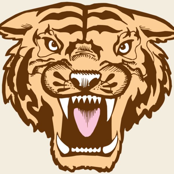 BAW TIGER 05 RC Thumbnail