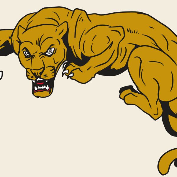 AR10 PANTHER 02 RQC Thumbnail