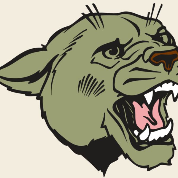 AR COUGAR 40 RC Thumbnail
