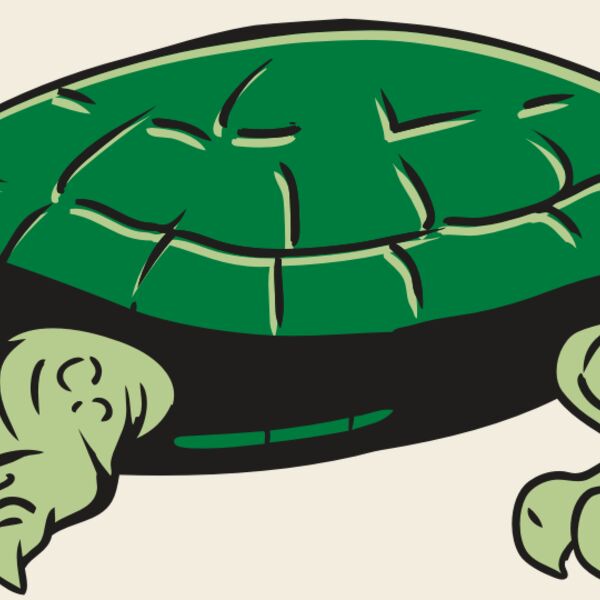 AR32 TURTLE 01 RQC Thumbnail