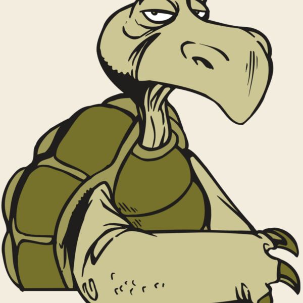 AR5 Turtle 01 RQC Thumbnail