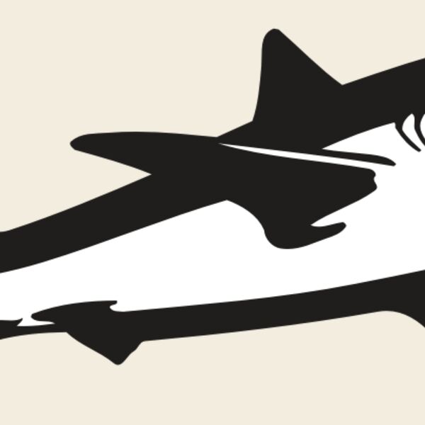 AR5 Shark 15 RQC Thumbnail