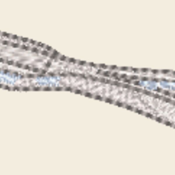 350570 Thumbnail