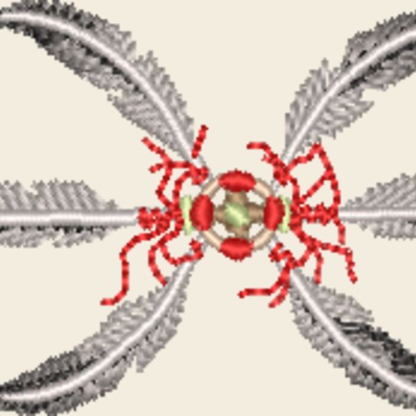 WO062 Thumbnail