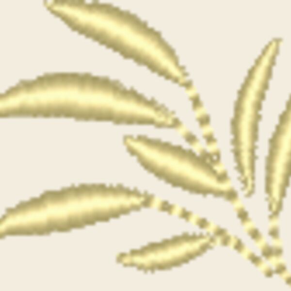 NZ815 Thumbnail