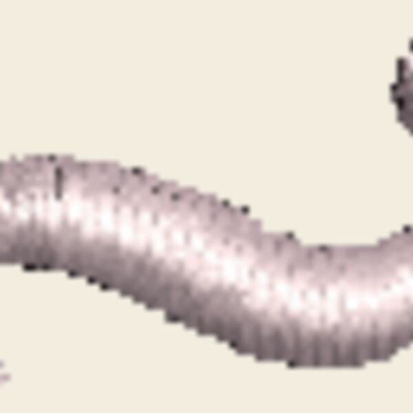 FA533 Thumbnail
