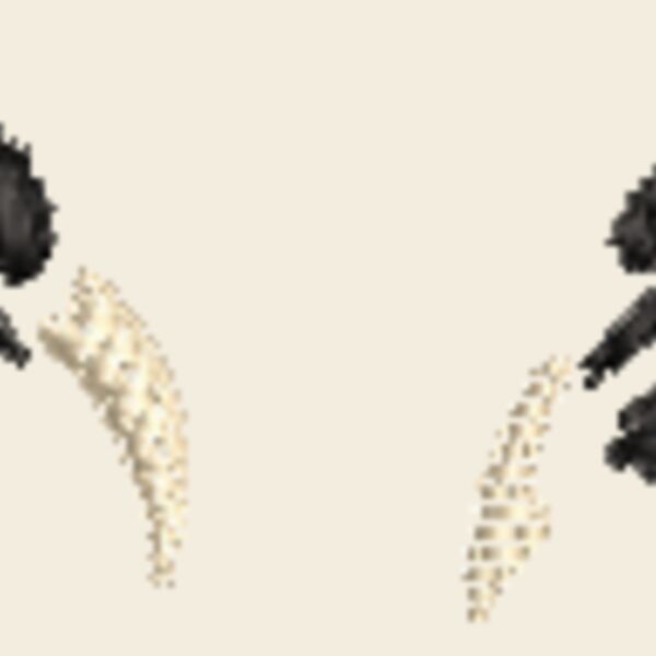 NY682 Thumbnail