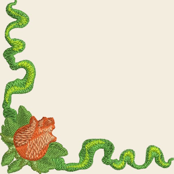FP206 Thumbnail