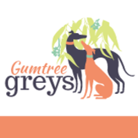 Gumtree Greys Thumbnail